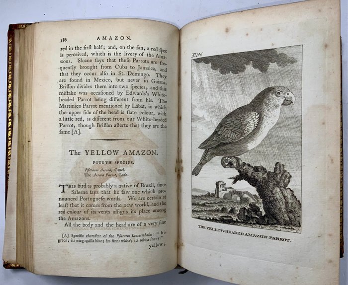 Count de Buffon - The Natural History of Birds From the French of the Count de Buffon - 1793-1793