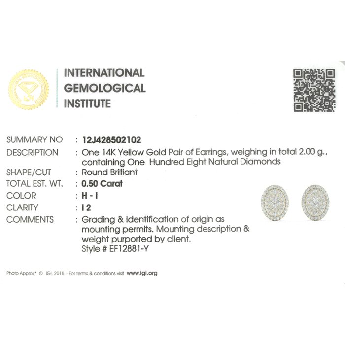 Øreringe - 14 karat Gulguld -  0.50ct. tw. Diamant (Natur) - Diamant Halo