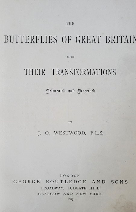 J O Westwood - The butterflies of Great Britain - 1887