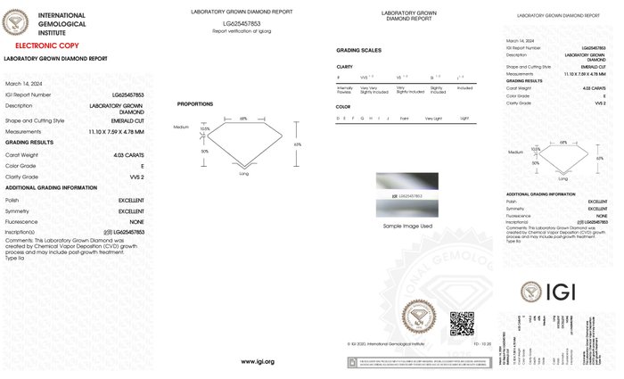 Øreringe - 18 kraat Hvidguld -  8.11ct. tw. Diamant (Laboratoriedyrket)