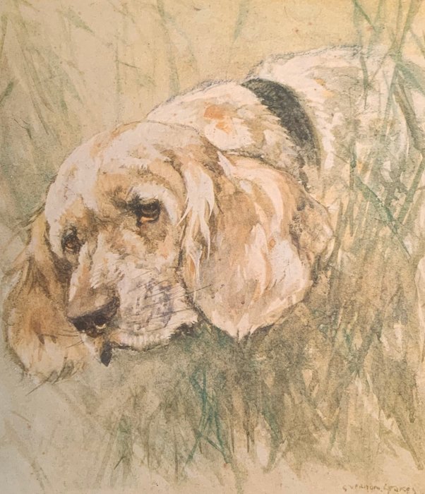 George Vernon Stokes (1873-1954) - Chumber spaniel