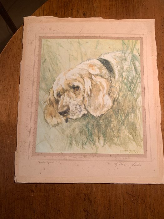 George Vernon Stokes (1873-1954) - Chumber spaniel