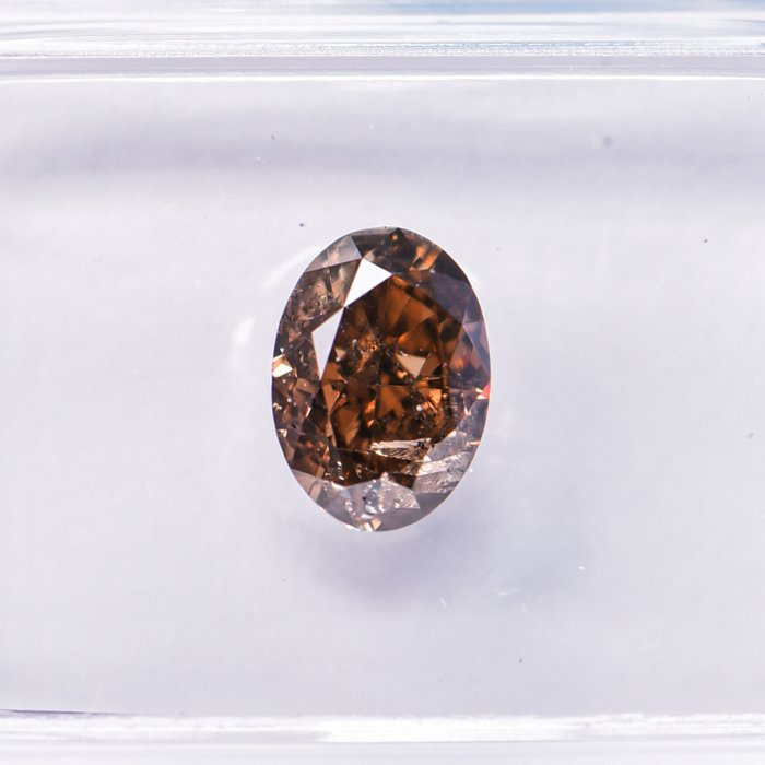 Ingen mindstepris - 1 pcs Diamant  (Naturfarvet)  - 1.17 ct - Oval - Fancy deep Brun Gul - I1 - International Gemological Institute (IGI)