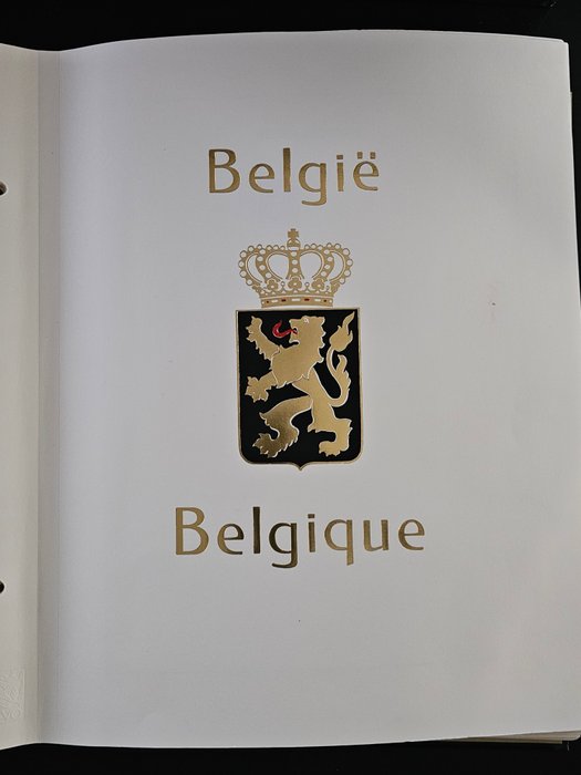 Belgien 1849/1949 - DAVO LX I godt fyldt (inklusive Large Orval) + bedre blokke (se beskrivelse !!!!)