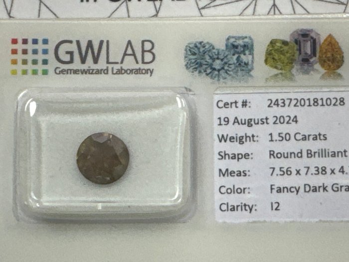 Ingen mindstepris - 1 pcs Diamant  (Naturfarvet)  - 1.16 ct - Rund - Fancy dark Grå - I2 - Gemewizard Gemological Laboratory (GWLab)