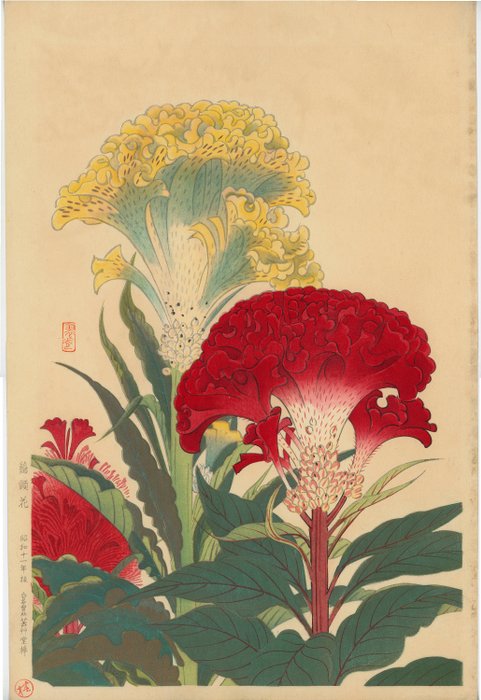 Fukuda Suiko 福田翠光 (1895-1973) - Cockscomb flower 鶏頭花 - 1936