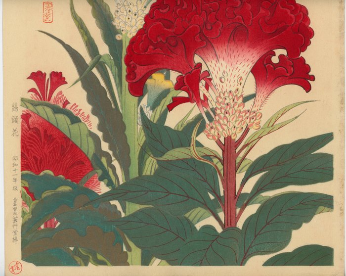 Fukuda Suiko 福田翠光 (1895-1973) - Cockscomb flower 鶏頭花 - 1936