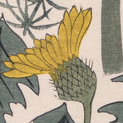 "Bracken, Dandelion, Violet and Horsetails" - From the Ehon: 'Flowers of the Four Season' - Sakai Hoitsu (1761 - 1828) - Japan