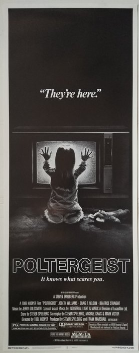 Steven Spielberg - POLTERGEIST - (1982) US Theatre Release bootleg Insert Poster (820027) - Rolled - MINT - No reserve