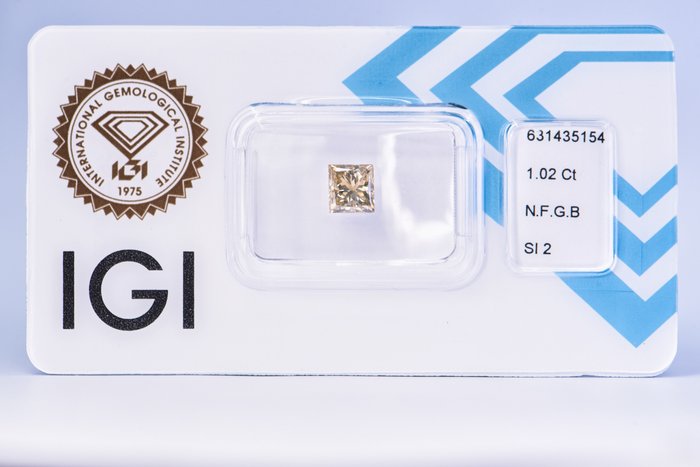 Ingen mindstepris - 1 pcs Diamant  (Naturfarvet)  - 102 ct - Fancy Grålig Brun - SI2 - International Gemological Institute (IGI)