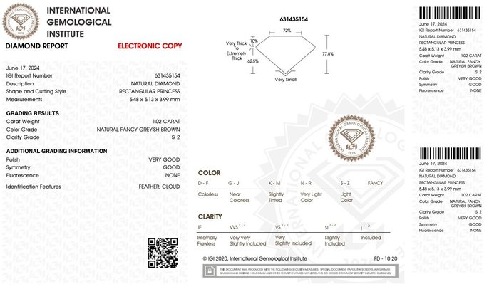 Ingen mindstepris - 1 pcs Diamant  (Naturfarvet)  - 102 ct - Fancy Grålig Brun - SI2 - International Gemological Institute (IGI)