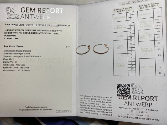 Øreringe - 14 karat Gulguld -  1.00ct. tw. Diamant (Natur)