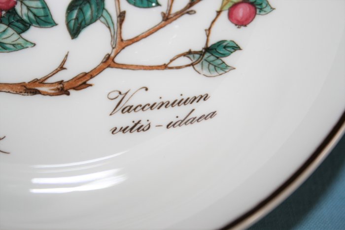 Villeroy  Boch - Sæt skåle (6) - Botanica - Vaccinium vitis idaea - Vitro porcelæn