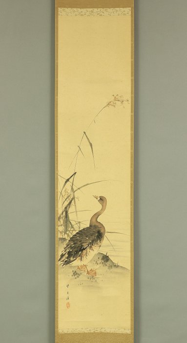 Autumn Grass and Geese with Appraised Box - Mochizuki Gyokkei 望月玉渓 (1874-1938) - Japan