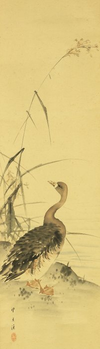 Autumn Grass and Geese with Appraised Box - Mochizuki Gyokkei 望月玉渓 (1874-1938) - Japan