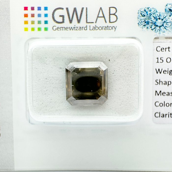 Ingen mindstepris - 1 pcs Diamant  (Naturfarvet)  - 4.00 ct - Firkantet med slebne hjørner - Fancy dark Grå - I1 - Gemewizard Gemological Laboratory (GWLab)