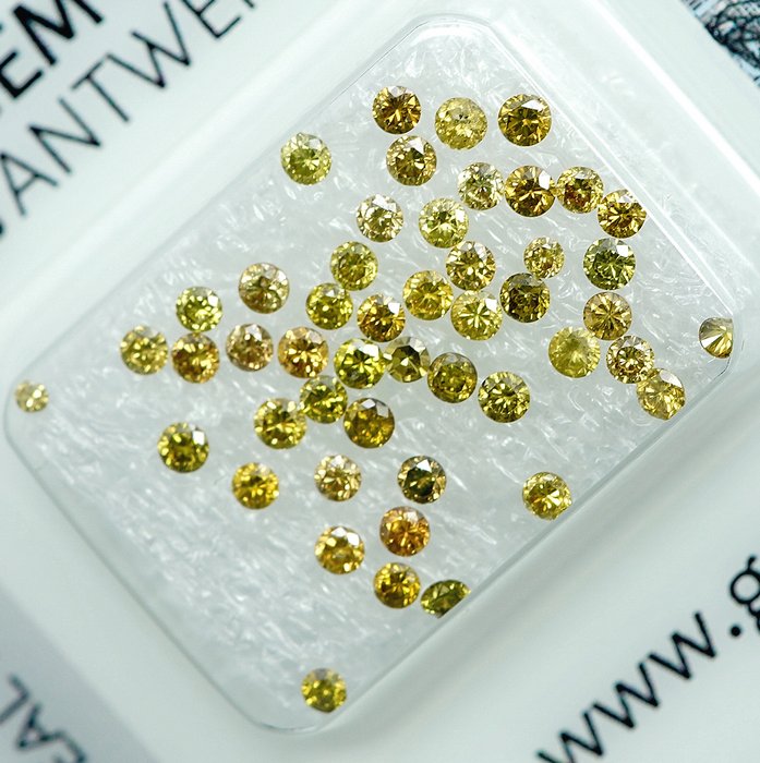 49 pcs Diamant  (Farvebehandlet)  - 1.01 ct - I2, VS1 - Gem Report Antwerp (GRA)