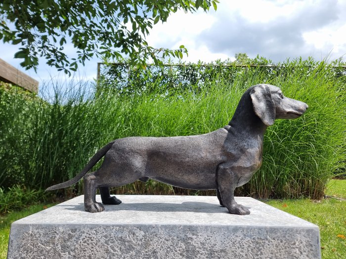 Statuette - Grote teckel hond - Bronze