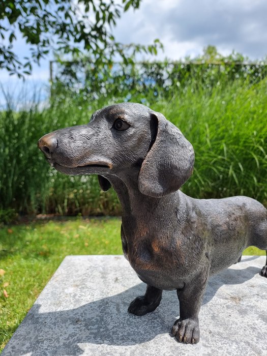 Statuette - Grote teckel hond - Bronze