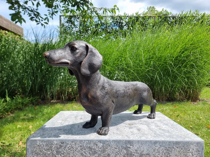 Statuette - Grote teckel hond - Bronze