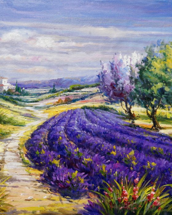 StefanoArt - Provençal Lavender