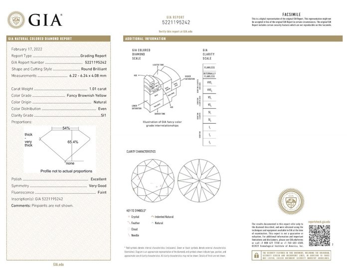 Ingen mindstepris - 1 pcs Diamant  (Naturfarvet)  - 1.01 ct - Rund - Fancy Brunlig Gul - SI1 - Gemological Institute of America (GIA)