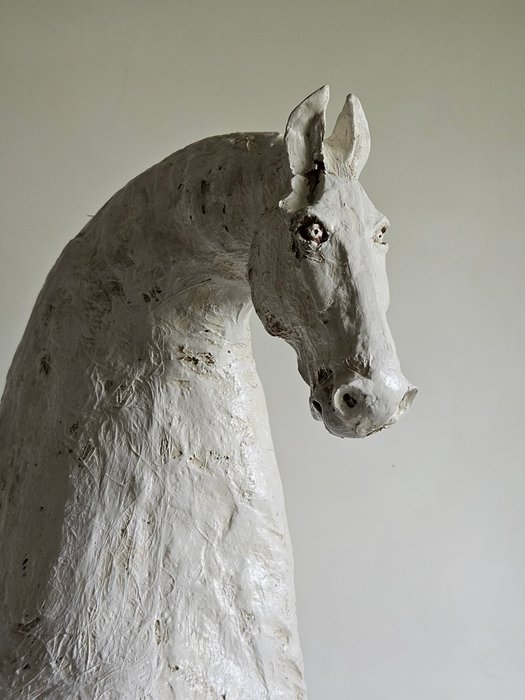 Raghad (1961) - Un cheval blanc