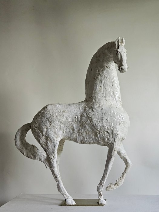 Raghad (1961) - Un cheval blanc