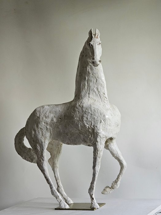 Raghad (1961) - Un cheval blanc