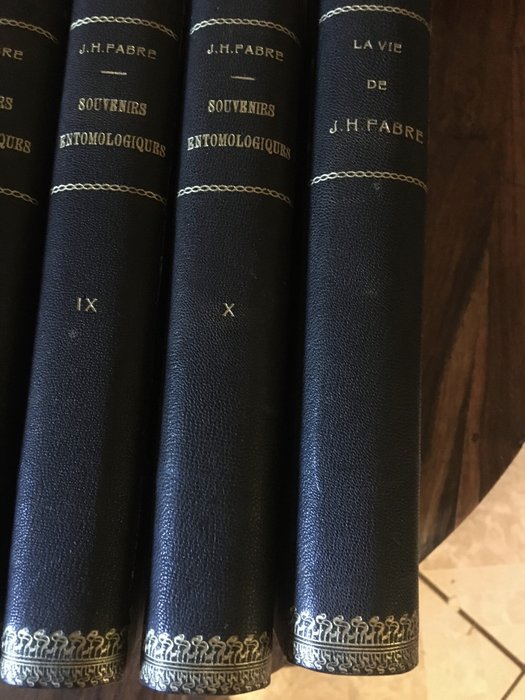 J.H. Fabre - Souvenirs Entomologiques  La Vie de J.H. Fabre - 1924