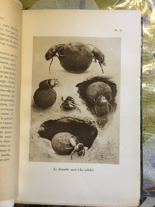 J.H. Fabre - Souvenirs Entomologiques  La Vie de J.H. Fabre - 1924