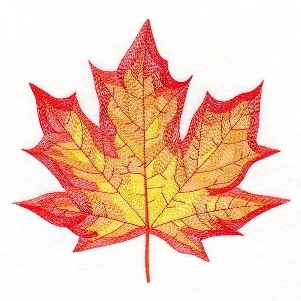 Canada. 50 Dollars 2021 "Magnificent Maple Leaf", 10 Oz (.999)