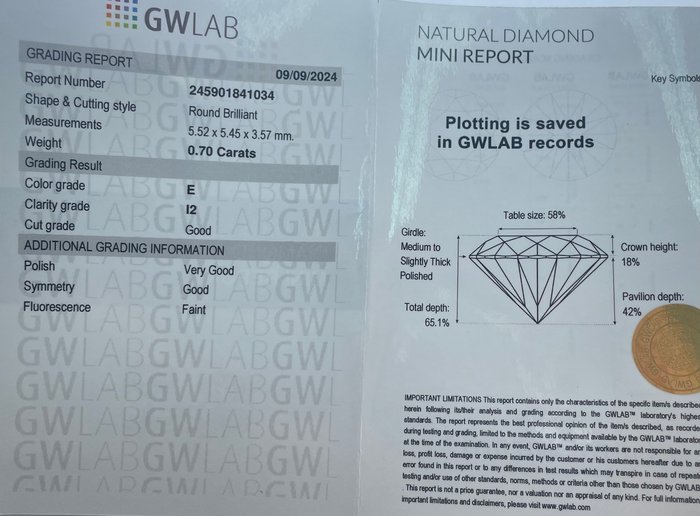 Ingen mindstepris - 1 pcs Diamant  (Natur)  - 0.70 ct - Rund - E - I2 - Gemewizard Gemological Laboratory (GWLab)