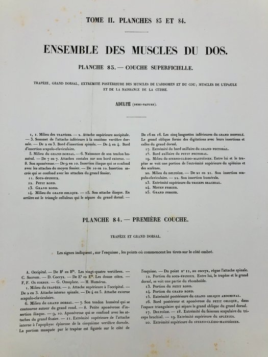 Undervisningsmaterialer - Nicolas-Henri Jacob  Jean Baptiste Marc Bourgery - traité d'anatomie de l'homme 1881 - Papir - 1850-1900