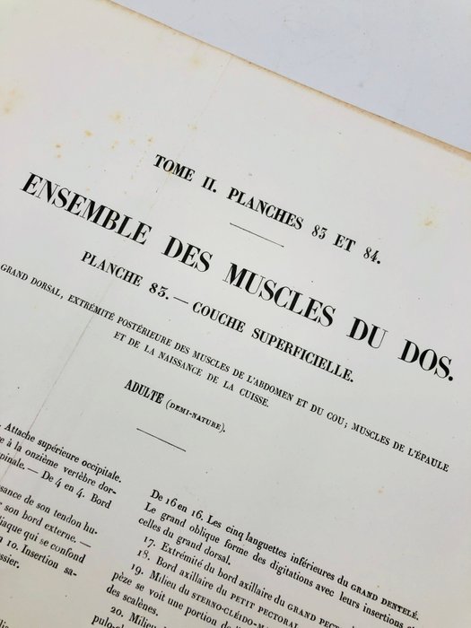 Undervisningsmaterialer - Nicolas-Henri Jacob  Jean Baptiste Marc Bourgery - traité d'anatomie de l'homme 1881 - Papir - 1850-1900