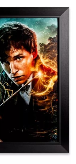 Fantasic Beasts - Signed by Eddie Redmayne (Newt Scamander)