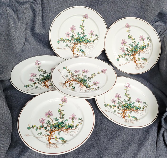 Villeroy  Boch - Middagstallerken (6) - Botanica - Porcelæn