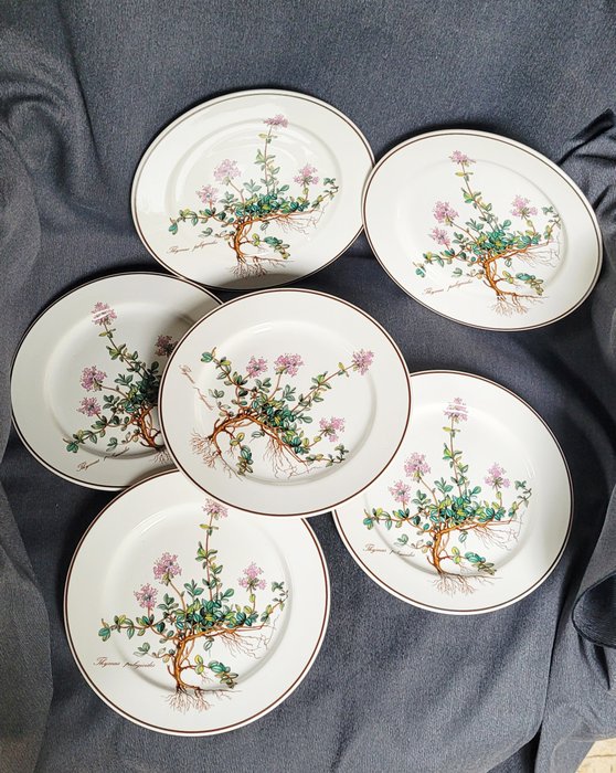 Villeroy  Boch - Middagstallerken (6) - Botanica - Porcelæn