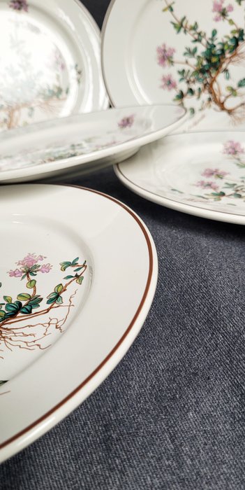 Villeroy  Boch - Middagstallerken (6) - Botanica - Porcelæn