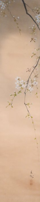 Moonlit Night - Spring evening - Hazy Moon and Cherry Blossoms - Small Hanging Scroll - with - “Imai Keiju 今井景樹（1891-1967）” - Japan  (Ingen mindstepris)