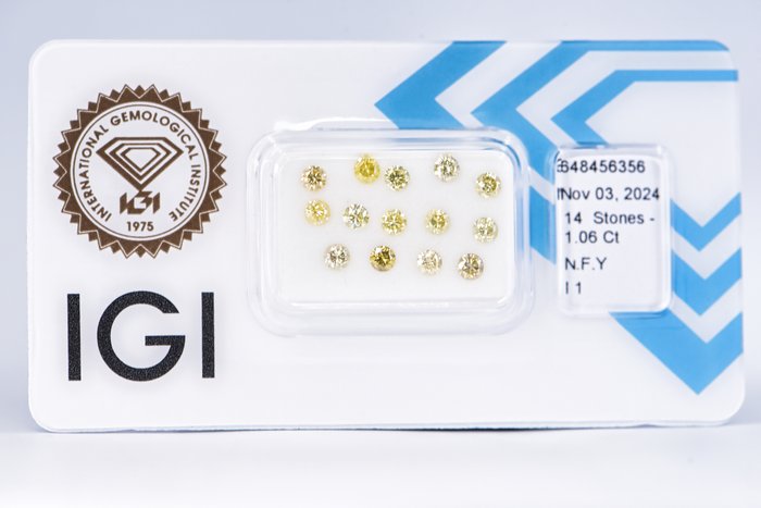 Ingen mindstepris - 14 pcs Diamant  (Naturfarvet)  - 1.06 ct - Rund - Fancy Gul - I1 - International Gemological Institute (IGI)