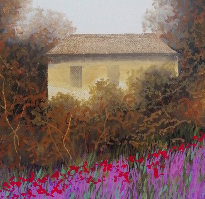 Guido Borelli - papalanda