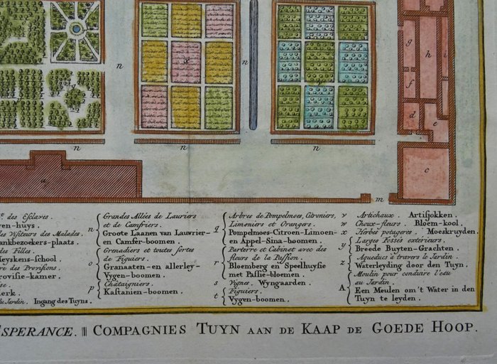 Afrika - Sydafrika / Cape Town, haver tilhørende det hollandske østindiske kompagni (VOC); Bellin / Van der Schley - Jardin de la Compagnie au Cap de Bonne Esperance / Compagnies Tuyn aan de Kaap de Goede Hoop - 1721-1750