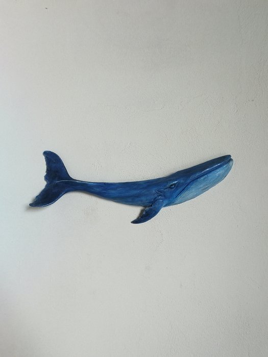 Federico Alibrio - Blue Whale