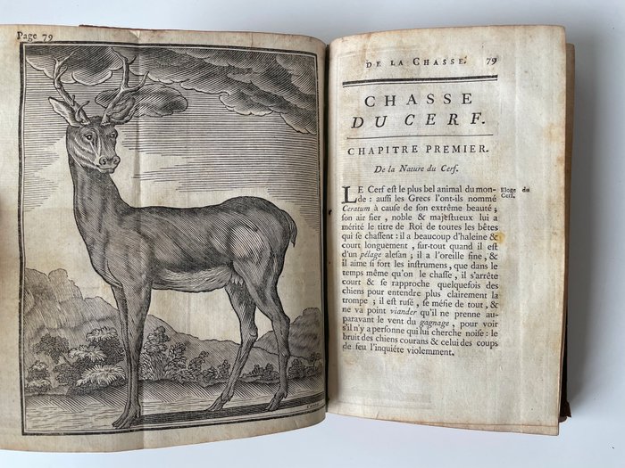 Verrier de la Conterie - L'Ecole de la Chasse, aux chiens courans - 1763