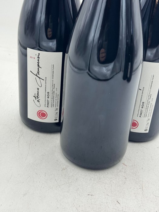 2019 Fleury Coteaux Champenois Pinot Noir - Champagne - 3 Flasker (0,75 L)