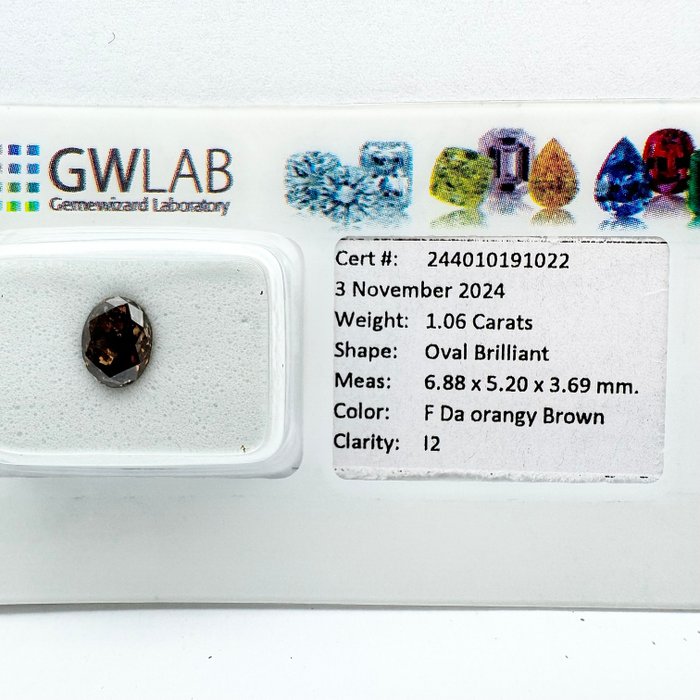 Ingen mindstepris - 1 pcs Diamant  (Naturfarvet)  - 1.06 ct - Oval - Fancy dark Orange nuance Brun - I2 - Gemewizard Gemological Laboratory (GWLab)