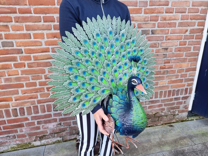 Statue, XL Metal Garden Peacock - 63 cm - Metal