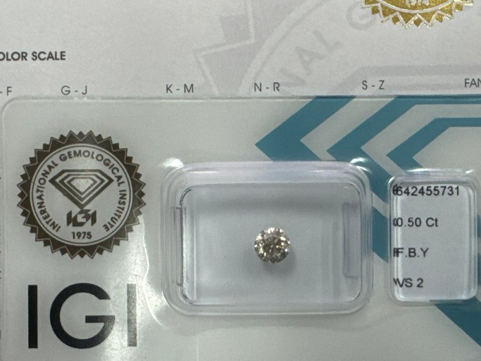 Ingen mindstepris - 1 pcs Diamant  (Naturfarvet)  - 0.50 ct - Rund - Fancy Brunlig Gul - VS2 - International Gemological Institute (IGI)