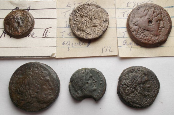 Ptolemæerriget. Lot 6 AE Coins  (Ingen mindstepris)